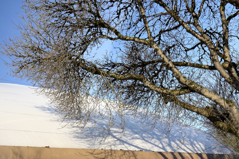 Illustration for article titled Pics from the Curbside: 2018-02-12 to The Boulevards